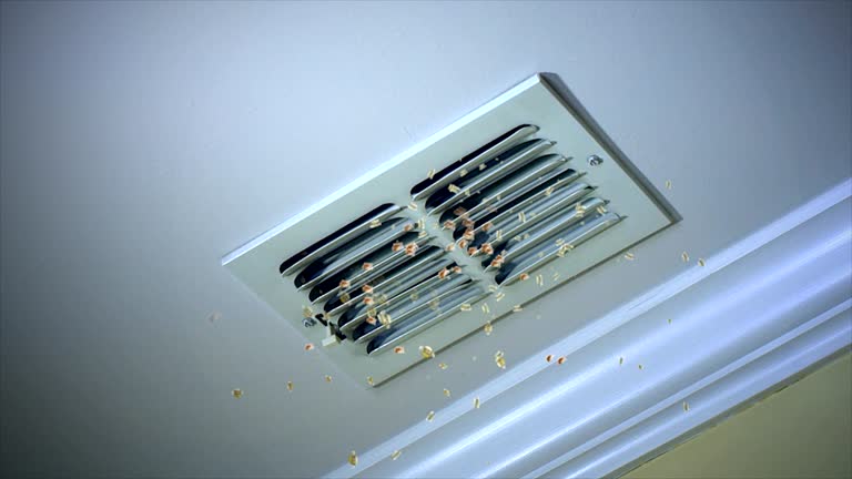 Best Professional Duct Cleaning Services  in Ocean Pines, MD