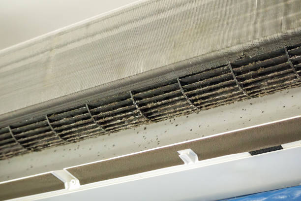 Best Local Air Duct Cleaning Services  in Ocean Pines, MD